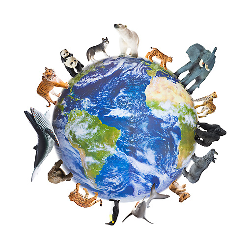 earth with animals