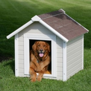 dog house